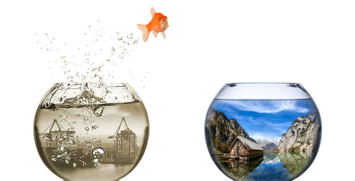 fisch springt vom dreckigen industriegebit in die Natur